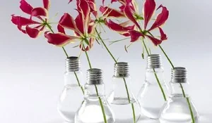 Bombillas recicladas en floreros