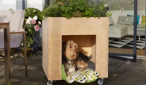 Casita con jardinera para tu perro