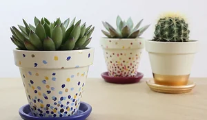 Macetas decoradas con esmaltes acrílicos