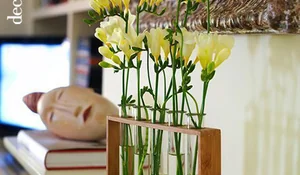 Violeteros de cristal en un soporte de madera