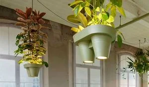 lampara-de-techo-con-macetas-colgantes.jpg