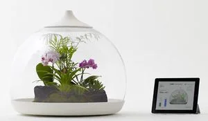 terrarium-floral-controlado-desde-el-telefono.jpg