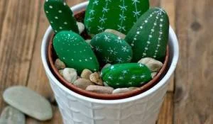 cactus-de-piedra.jpg