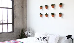 Macetas sobre repisas en la pared del cabecero