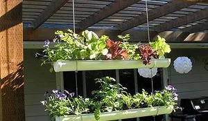 como-hacer-jardines-colgantes-con-canalones.jpg