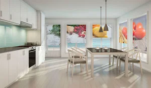 Estor opaco fotográfico Puntogar