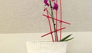 ikebana-el-arte-de-la-sencillez.jpg