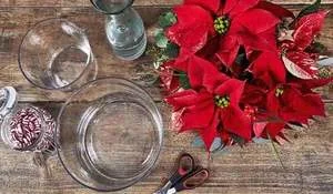 jarrones-decorados-con-poinsettias.jpg