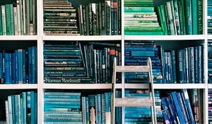 Librería organizada por el color de los libros