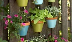 macetas-colgantes.jpg