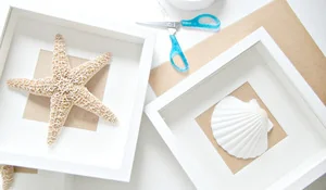 Cuadros con conchas y estrellas de mar