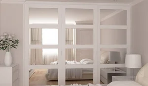 Puertas de armario de cuarterones y espejo