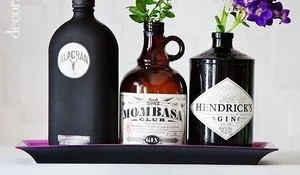 reciclar-botellas-de-ginebra-en-un-trix.jpg