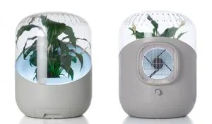 un-purificador-de-aire-que-funciona-con-plantas.jpg