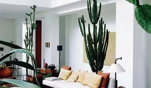 un-salon-decorado-con-cactus.jpg