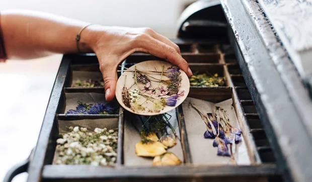 Las creaciones botánicas y exquisitas de Taller Silvestre