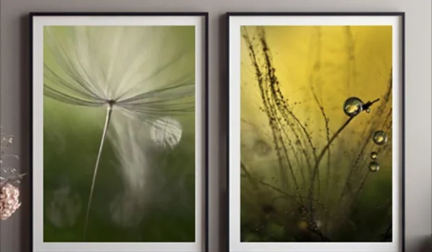 Decorar con fotografías de artistas