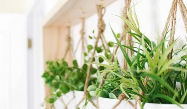 Decorar la pared con plantas y flores artificiales