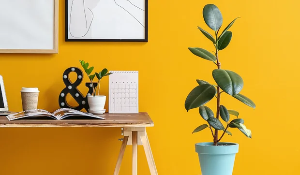 Reproduce el color que quieras para pintar tus paredes