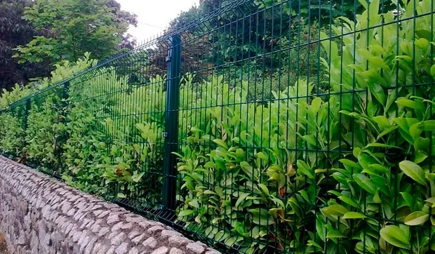 Descubre los mejores vallados para el jardín