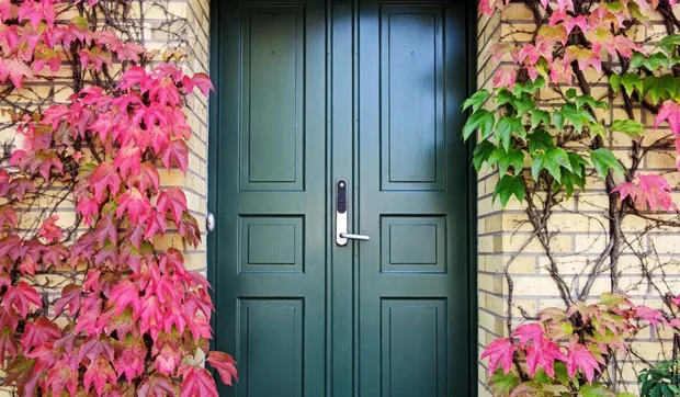 Elegir la puerta de entrada para tu casa