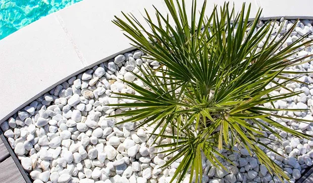 Cómo utilizar piedras decorativas en tu jardín