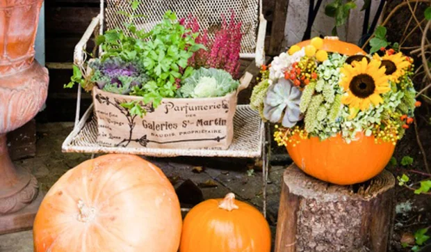 Decorar la casa en Halloween sin sustos