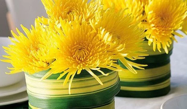 Plantas y flores para darle color al otoño