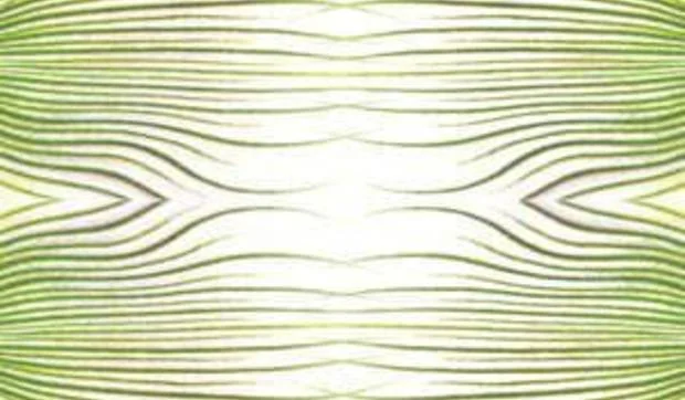 Alfombras de inspiración vegetal