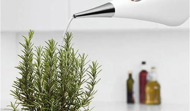 Regadera de diseño Aqua Star