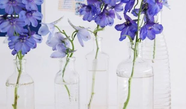 Arreglos florales en un trix