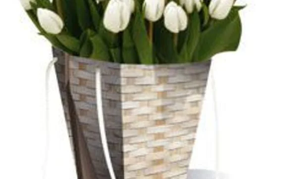 Bolsa-jarrón de cartón impermeable