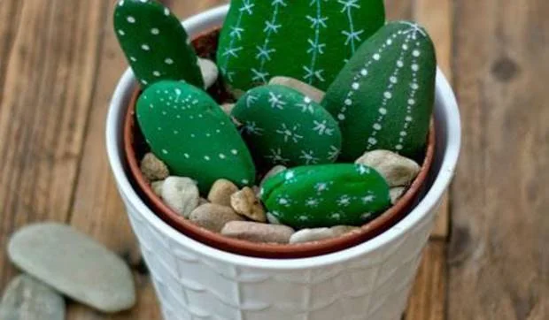 Cactus de piedra que nunca se marchitan y ¡no pinchan!