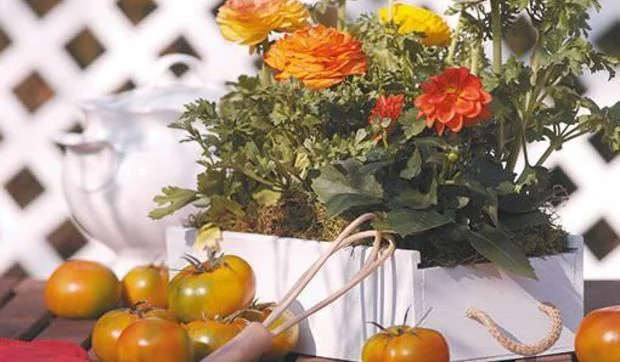 Cajas de vino recicladas en maceteros