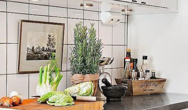 Cocina pequeña bien aprovechada con los muebles en forma de U