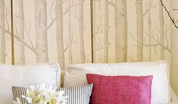 Cojines decorativos o comodines