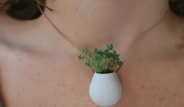 Collares para llevar flores o plantitas