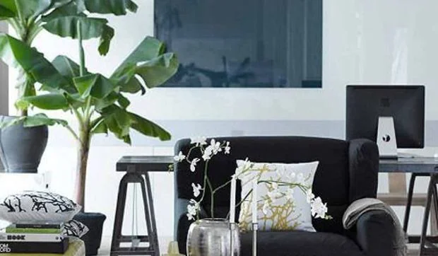 Cómo decorar zonas con base de muebles oscuros