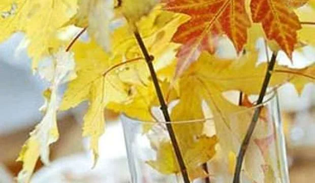 Decora con hojas de otoño  