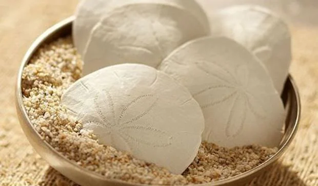 Decorar con conchas y cristales encontrados en la playa