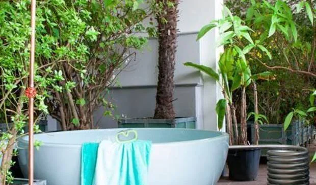Decorar con plantas al estilo tropical