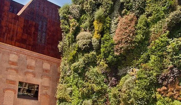 El jardín vertical de Caixa Forum se ha hecho grande
