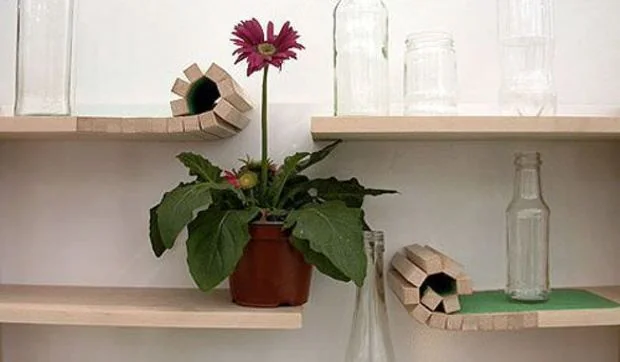 Estantería enrollada