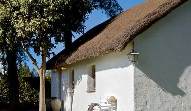 Feliz Día de Navidad