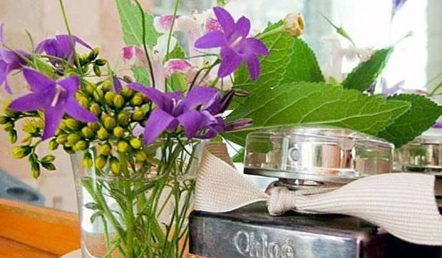 Florecillas "en un trix"