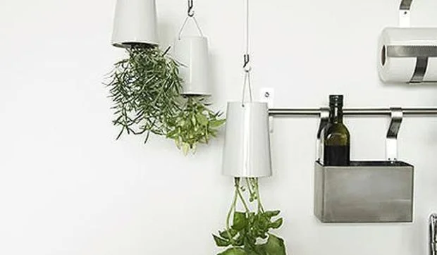 Flores y plantas colgadas boca abajo para disfrutarlas en casa