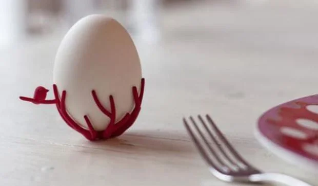 Huevero en un nido de pájaros