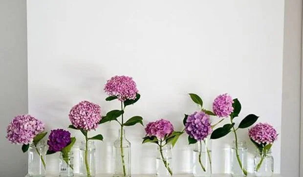 Ideas en un trix para adornar cualquier rincón