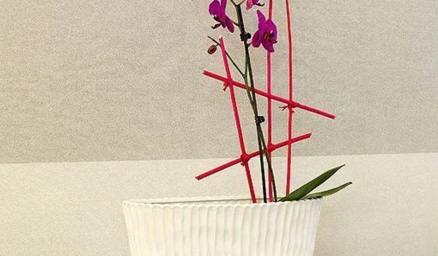 Ikebana: el arte de la sencillez