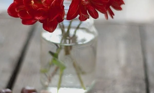 Inspiraciones para una decoración otoñal